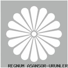 TAVAN MODELLERİ ( 12 )