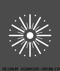 TAVAN MODELLERİ ( 14 )