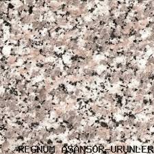 ZEMİN KAPLAMA (  5 )