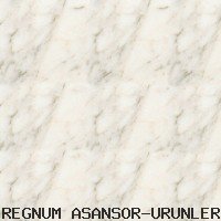 ZEMİN KAPLAMA ( 11 )